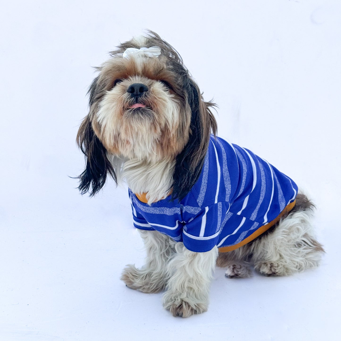 Blue Round Neck T-shirt | For Dogs | Pawgy Pets