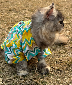Pawgy Pets Green zig zag kurta for Cats