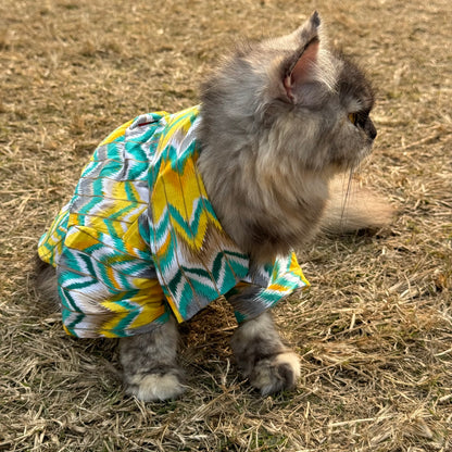 Pawgy Pets Green zig zag kurta for Cats