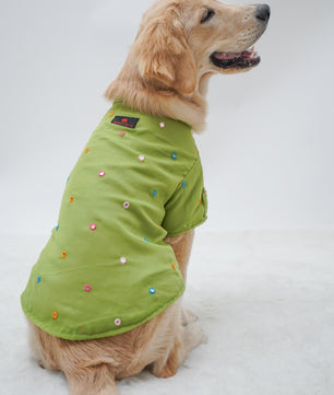 Pawgy Pets Festive Shirt Pista Green for Dogs