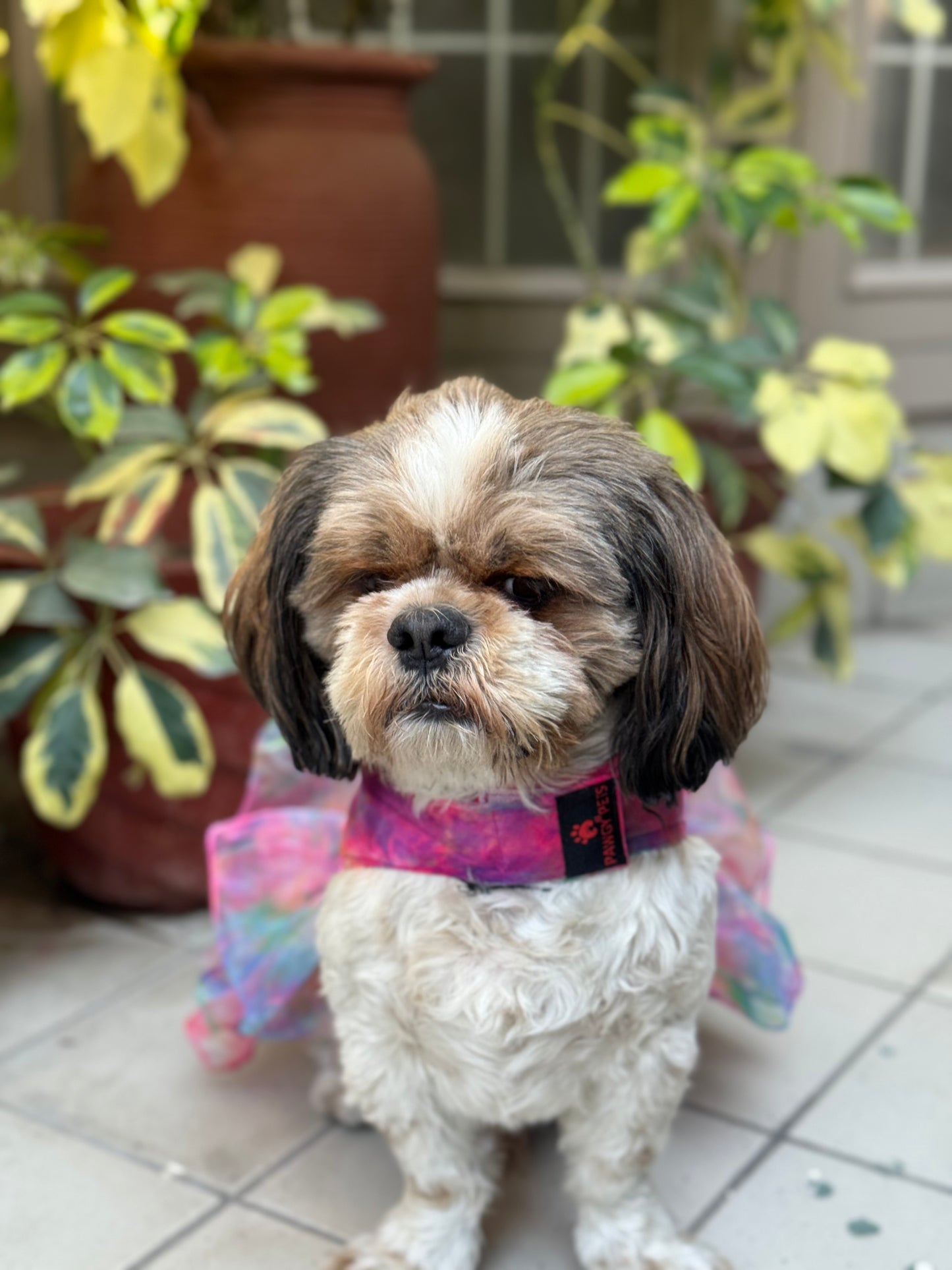 Pawgy Pets Frilly Dress Pink for Dogs