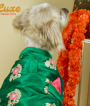Luxe by Pawgy Pets Kurta & Hand-embroidered Nehru Jacket Bottle Green