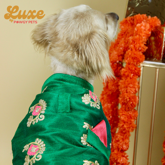 Luxe by Pawgy Pets Kurta & Hand-embroidered Nehru Jacket Bottle Green