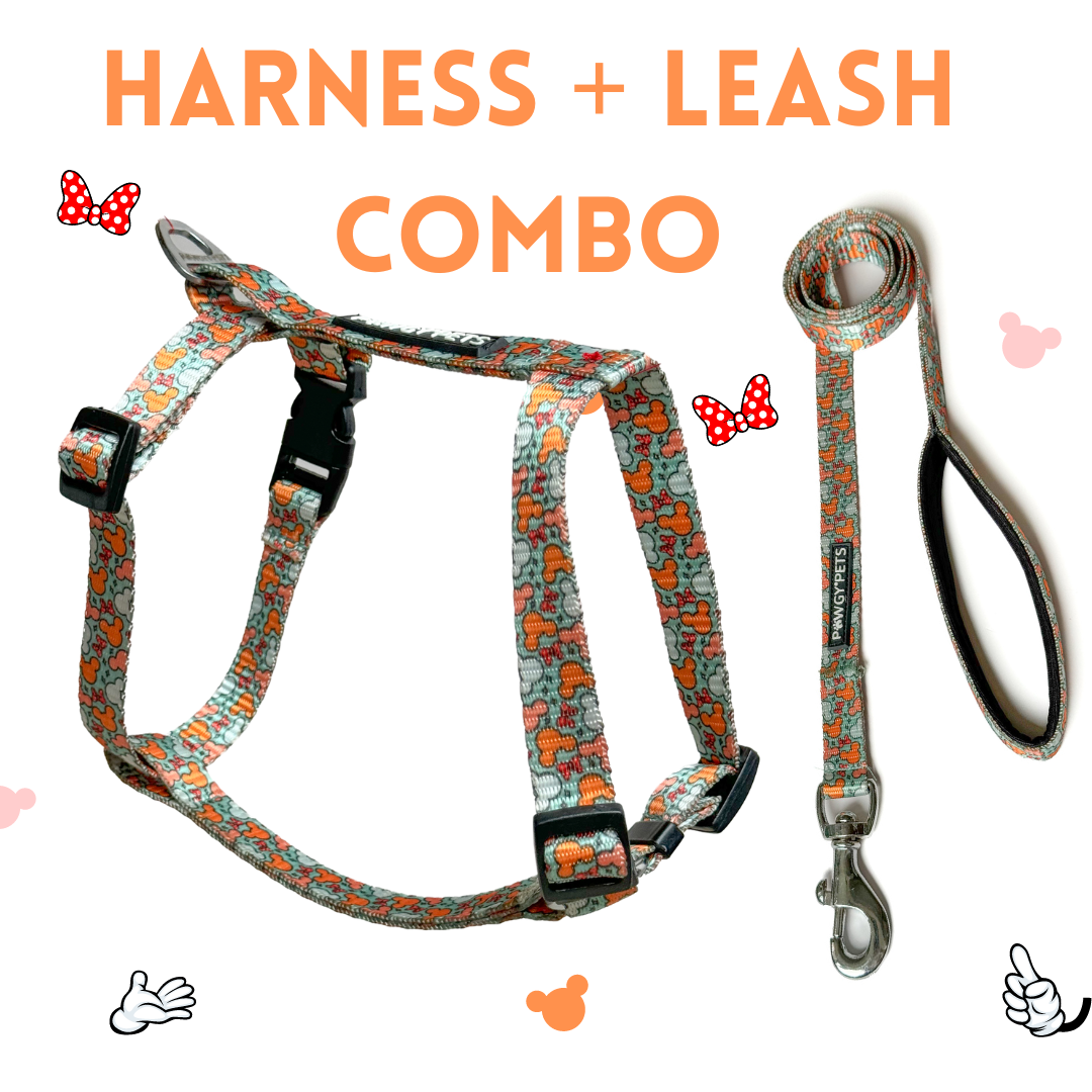 Mickey Pastel Green | H-Harness & Leash Combo for Dogs and Cats | Pawgy Pets