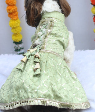 Pawgy Pets Shahi Lehenga- Dress Pastel Green for Dogs & Cats