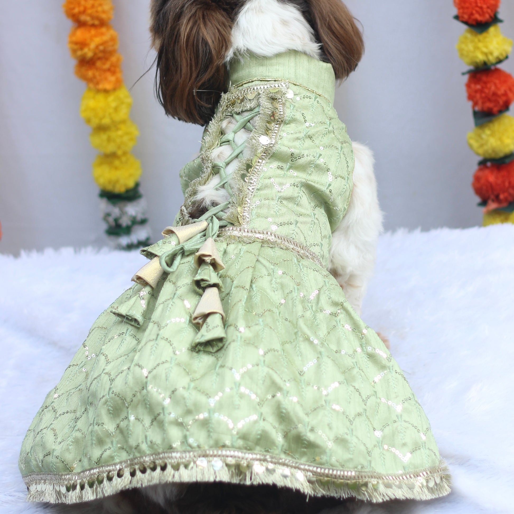 Pawgy Pets Shahi Lehenga- Dress Pastel Green for Dogs & Cats