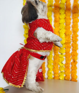Red Velvet Lehenga