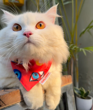 Pawgy Pets Casual Bandana: Nazar Red for Cats and Dogs