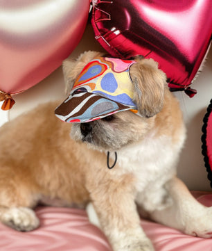 Pawgy Pets Dog Cap: Multi colour for Dog & Cats