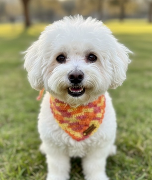 Pawgy Pets Crochet Bandana Multi
