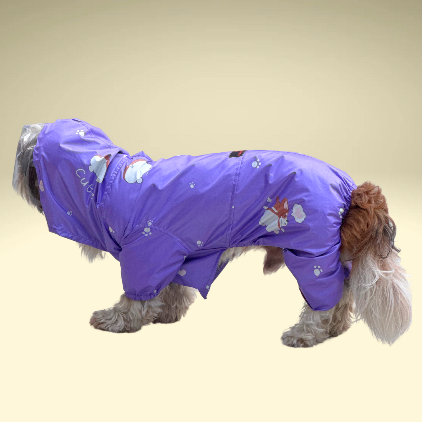 Purple Full Coverage Raincoat | For Dogs | Pawgy Pets