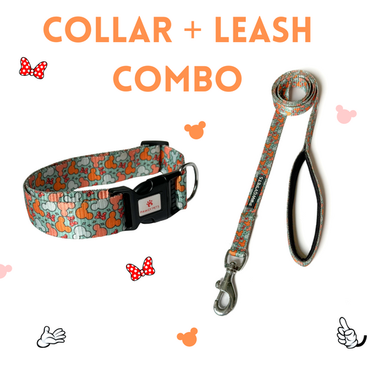 Pawgy Pets Collar & Leash Combo: Mickey Pastel Green for Dogs and Cats