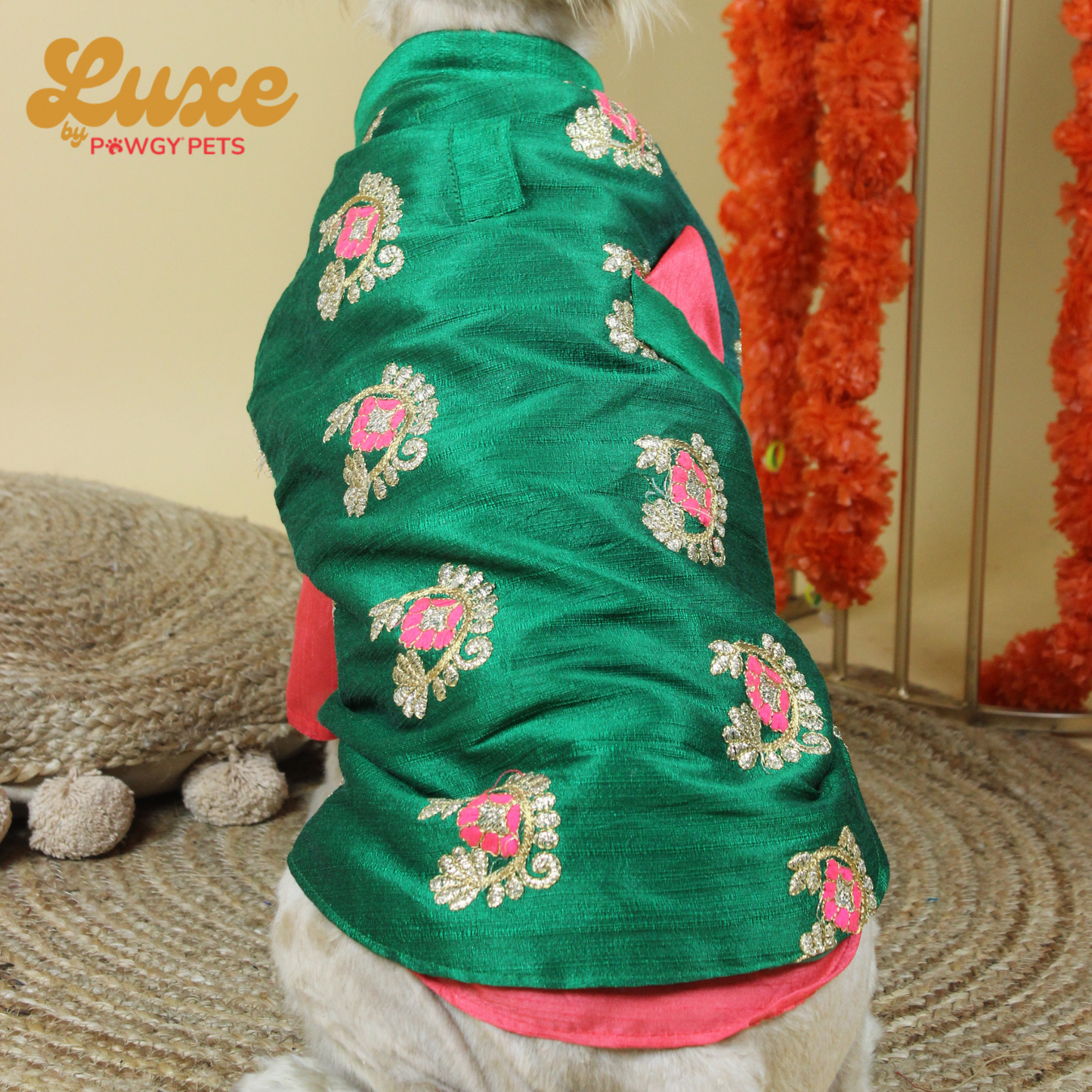 Bottle Green Kurta & Hand-Embroidered Nehru Jacket | Luxe Collection | Pawgy Pets