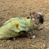 Pawgy Pets Sherwani Pista green for Cats