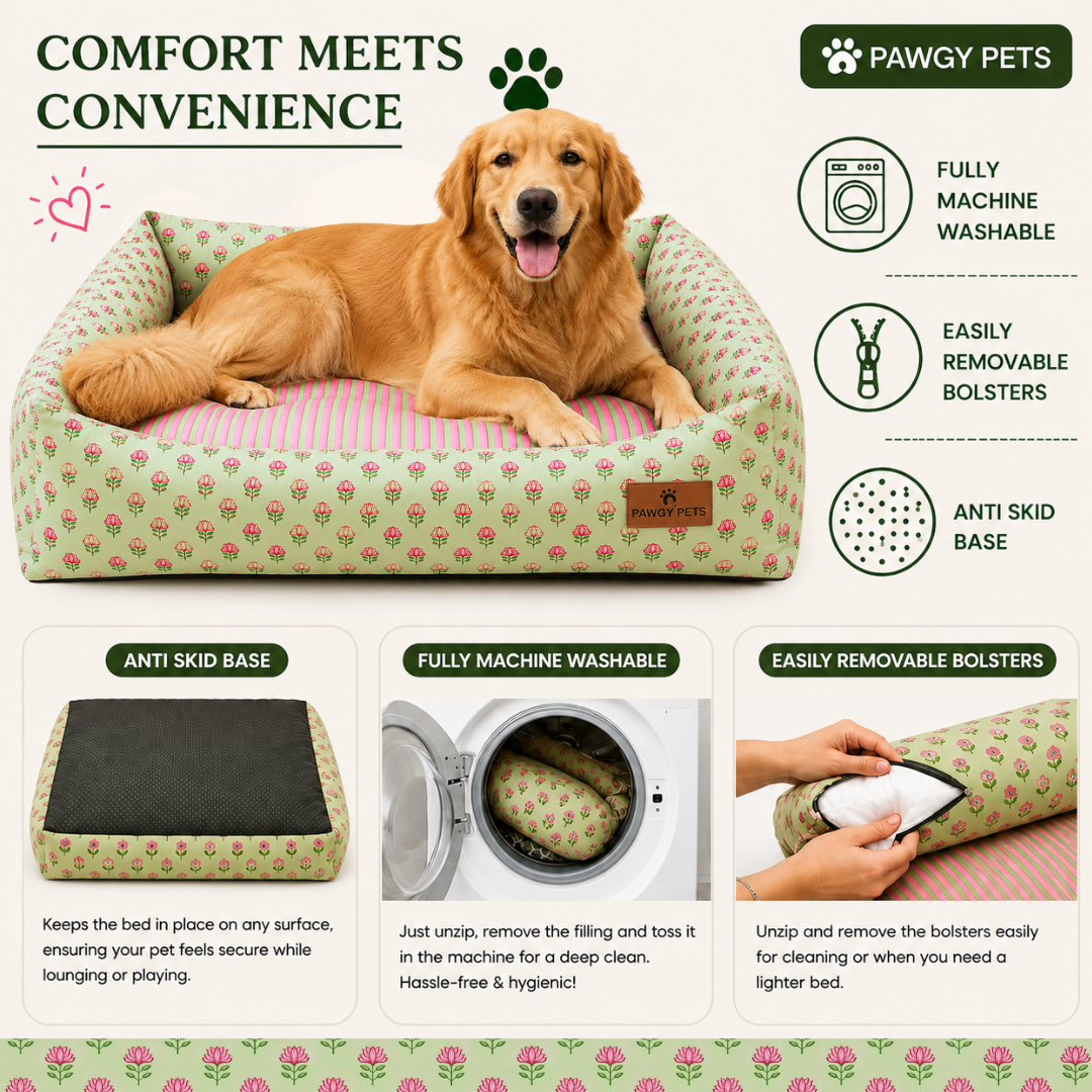 Kamal Bed | Dog Bed | Pawgy Pets