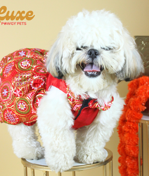 Luxe by Pawgy Pets Red Embroidered Lehenga Dress