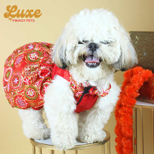 Luxe by Pawgy Pets Red Embroidered Lehenga Dress