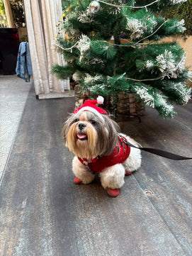 Pawgy Pets Christmas cap for Dogs