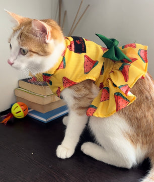 Pawgy Pets Watermelon Dress Yellow   (Cat)