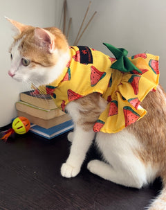 Pawgy Pets Watermelon Dress Yellow   (Cat)
