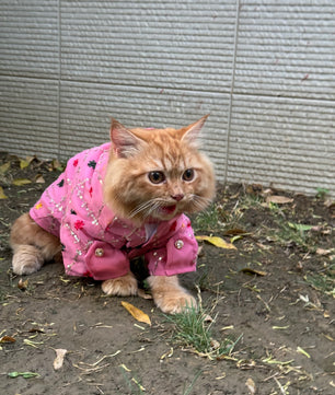 Pawgy Pets Festive shirt Pink (Cat)