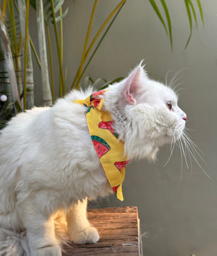 Pawgy Pets Casual Bandana: Watermelon Yellow Red for Cats and Dogs