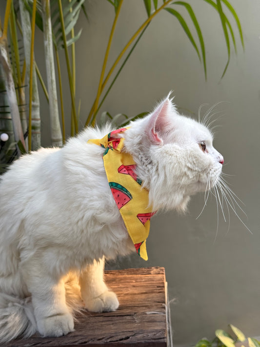 Pawgy Pets Casual Bandana: Watermelon Yellow Red for Cats and Dogs