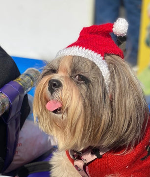 Pawgy Pets Christmas cap for Dogs