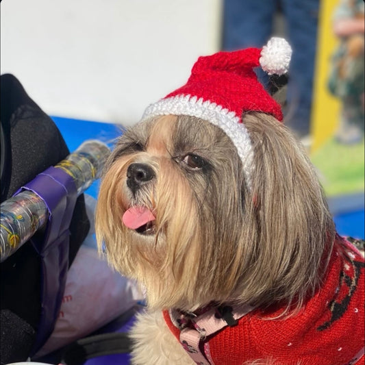 Pawgy Pets Christmas cap for Dogs