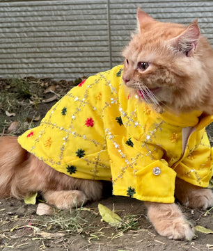 Pawgy Pets Festive shirt Yellow (Cat)