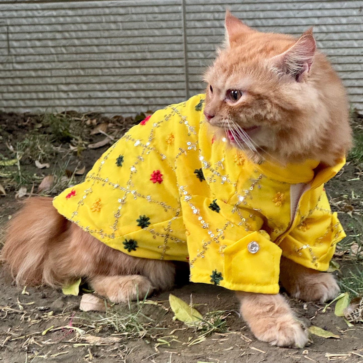 Pawgy Pets Festive shirt Yellow (Cat)