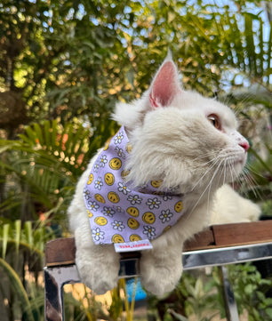 Pawgy Pets Casual Bandana: Smiley Lavender for Cats and Dogs
