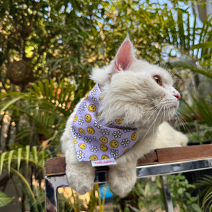 Pawgy Pets Casual Bandana: Smiley Lavender for Cats and Dogs