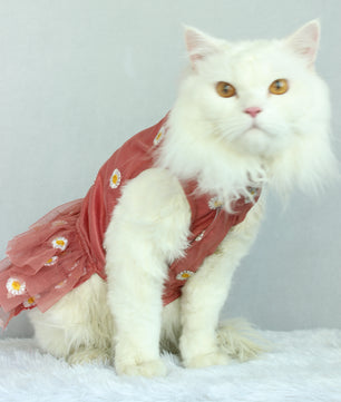 Pawgy Pets Frilly dress Rust (Cat)