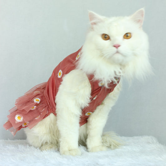 Pawgy Pets Frilly dress Rust (Cat)