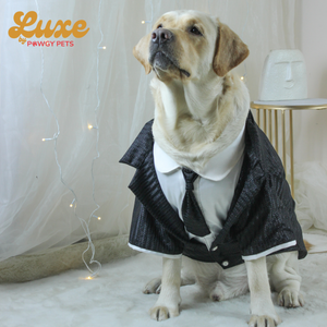 Black Shimmering Tie Tuxedo | Luxe Collection | Pawgy Pets