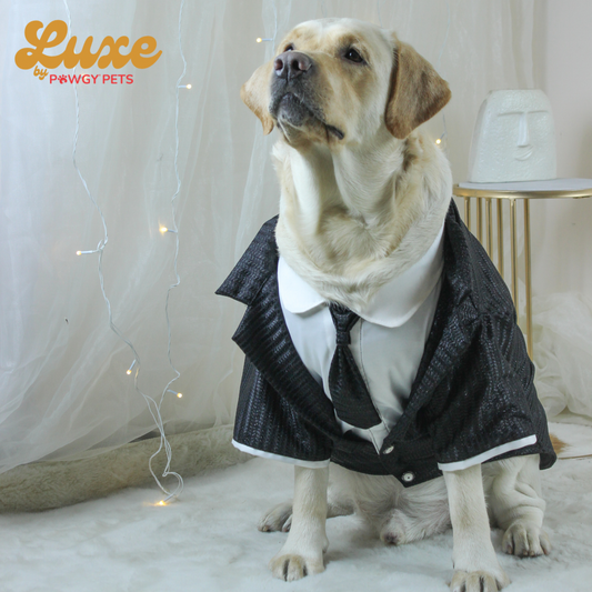 Luxe by Pawgy Pets Shimmering Black tie Tuxedo