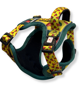 Pawgy Pets Padded Harness Watermelon