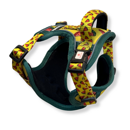 Watermelon | Padded Harness for Dogs and Cats | Pawgy Pets