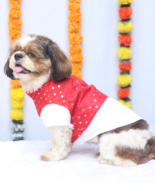 Pawgy Pets Pujo Kurta Red for Dogs