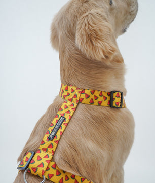 Pawgy Pets H-Harness Watermelon Yellow for Dogs and Cats