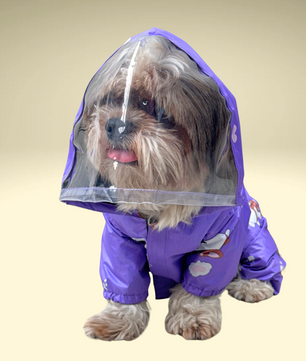 Pawgy Pets Full Coverage Raincoat