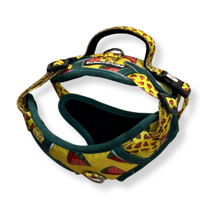 Watermelon | Padded Harness for Dogs and Cats | Pawgy Pets
