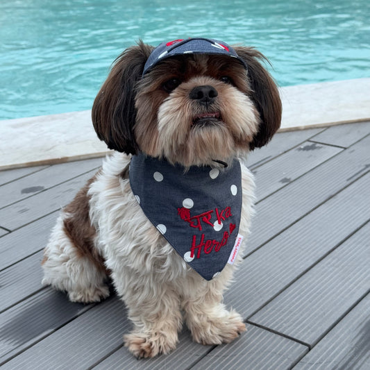 Pawgy Pets Personalised Dog Cap and Bandana: Denim Polka  for Dogs & Cats