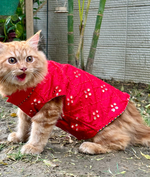 Pawgy Pets Festive Mirror work Sando: Maroon (Cat)