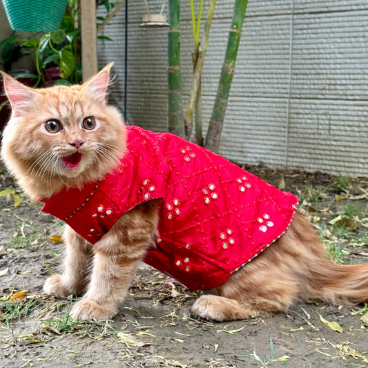 Pawgy Pets Festive Mirror work Sando: Maroon (Cat)