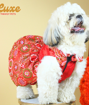 Luxe by Pawgy Pets Red Embroidered Lehenga Dress