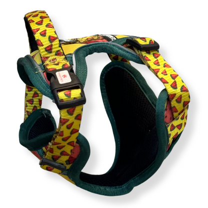 Watermelon | Padded Harness for Dogs and Cats | Pawgy Pets