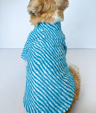 Pawgy Pets Lehriya Kurta: Blue for Dogs