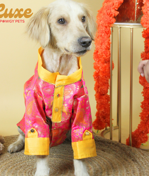 Luxe by Pawgy Pets Pink Brocade Kurta